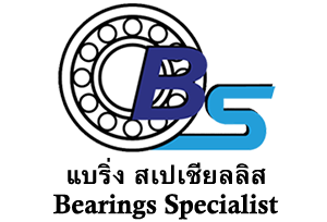Bearings Specialist