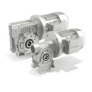 Industrial gear motor and gearbox assembly with two cylindrical motors and a mounted reducer viewed from an angle.