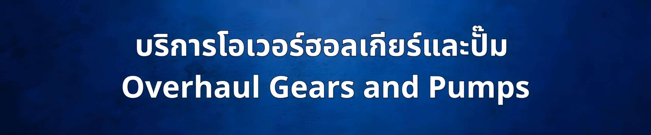 Overhaul Gears and Pumps_BS
